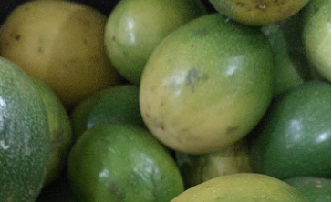 maracuja.png